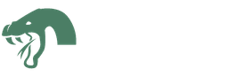 Vyper Hosting Logo